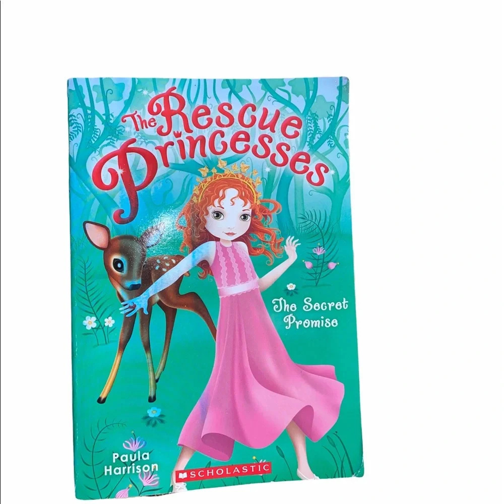 The Rescue Princesses-the secret promise paperback book